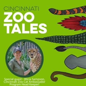 Alicia Sampson, Cincinnati Zoo