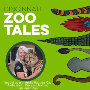 Andie Haugen, Cincinnati Zoo