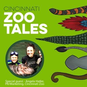 Angela Hatke, Cincinnati Zoo