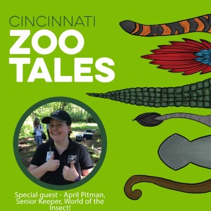 April Pitman, Cincinnati Zoo