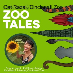 Cat Razal, Cincinnati Zoo
