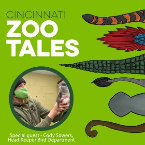 Cody Sowers, Cincinnati Zoo