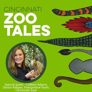Colleen Adams, Cincinnati Zoo