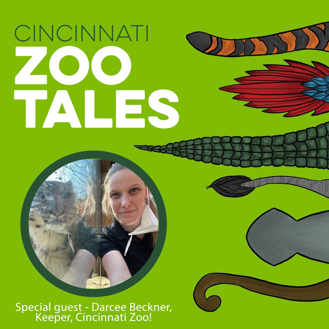 Darcee Beckner, Cincinnati Zoo