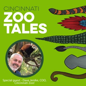 Dave Jenike, Cincinnati Zoo
