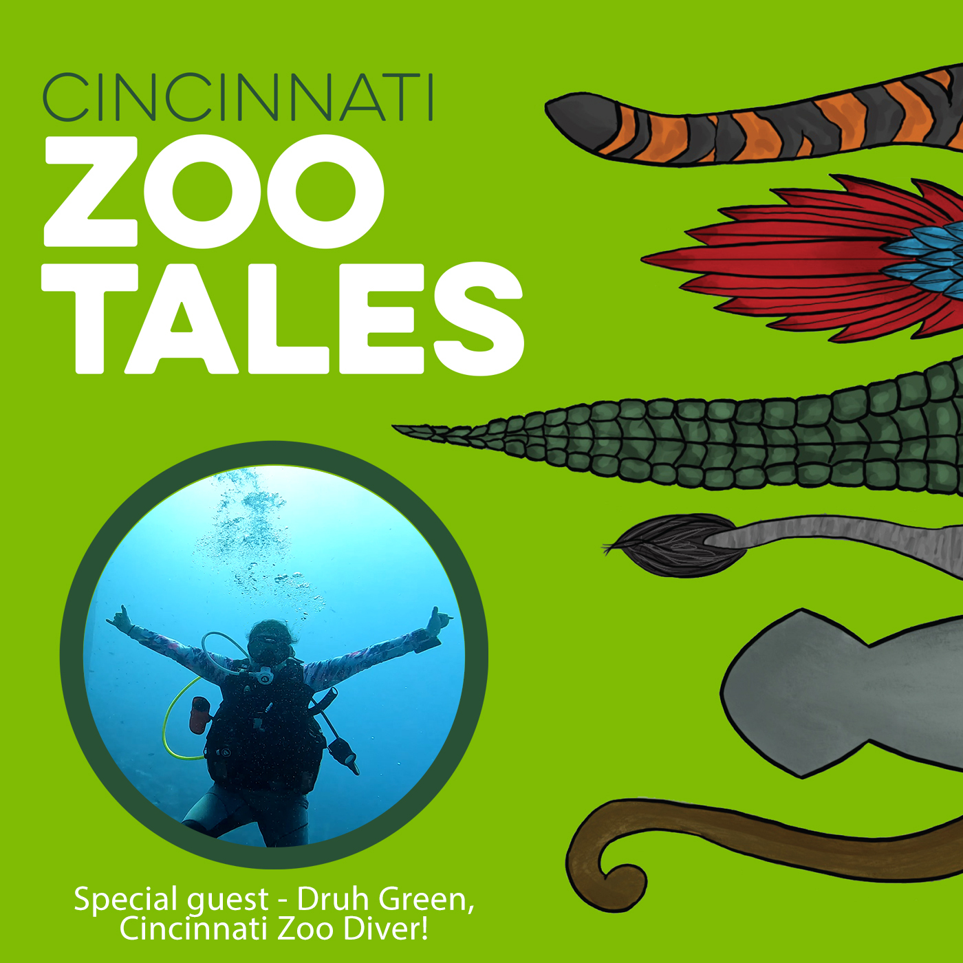 Cincinnati Zoo Tales