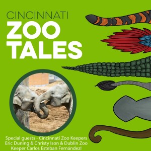 Elephant Moves with Cincinnati Zoo and Dublin Zoo