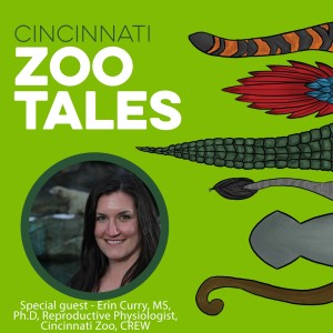 Dr. Erin Curry, Cincinnati Zoo’s CREW