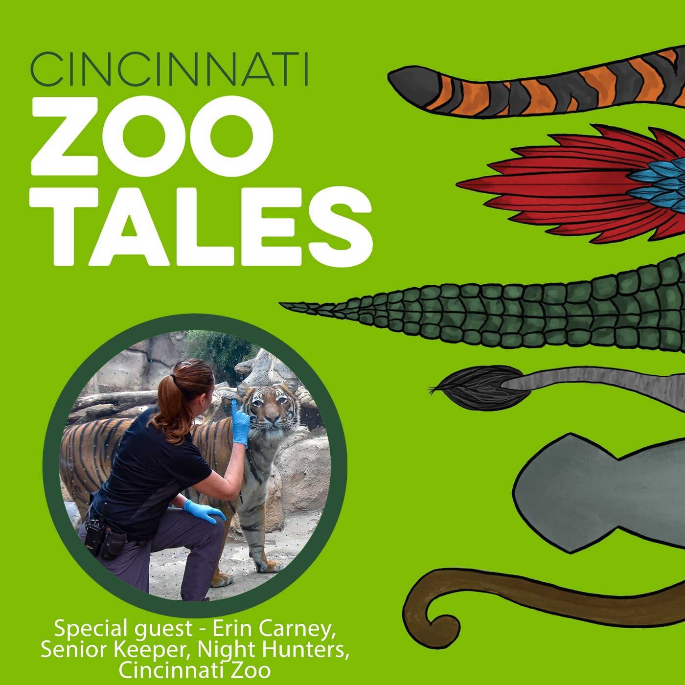 Cincinnati Zoo Tales