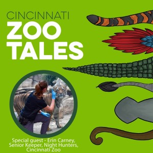 Erin Carney, Cincinnati Zoo