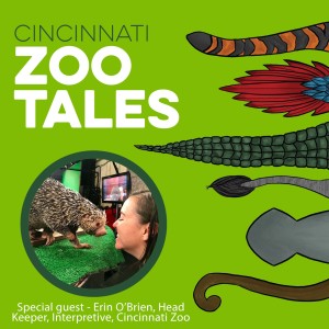 Erin O’Brien, Cincinnati Zoo