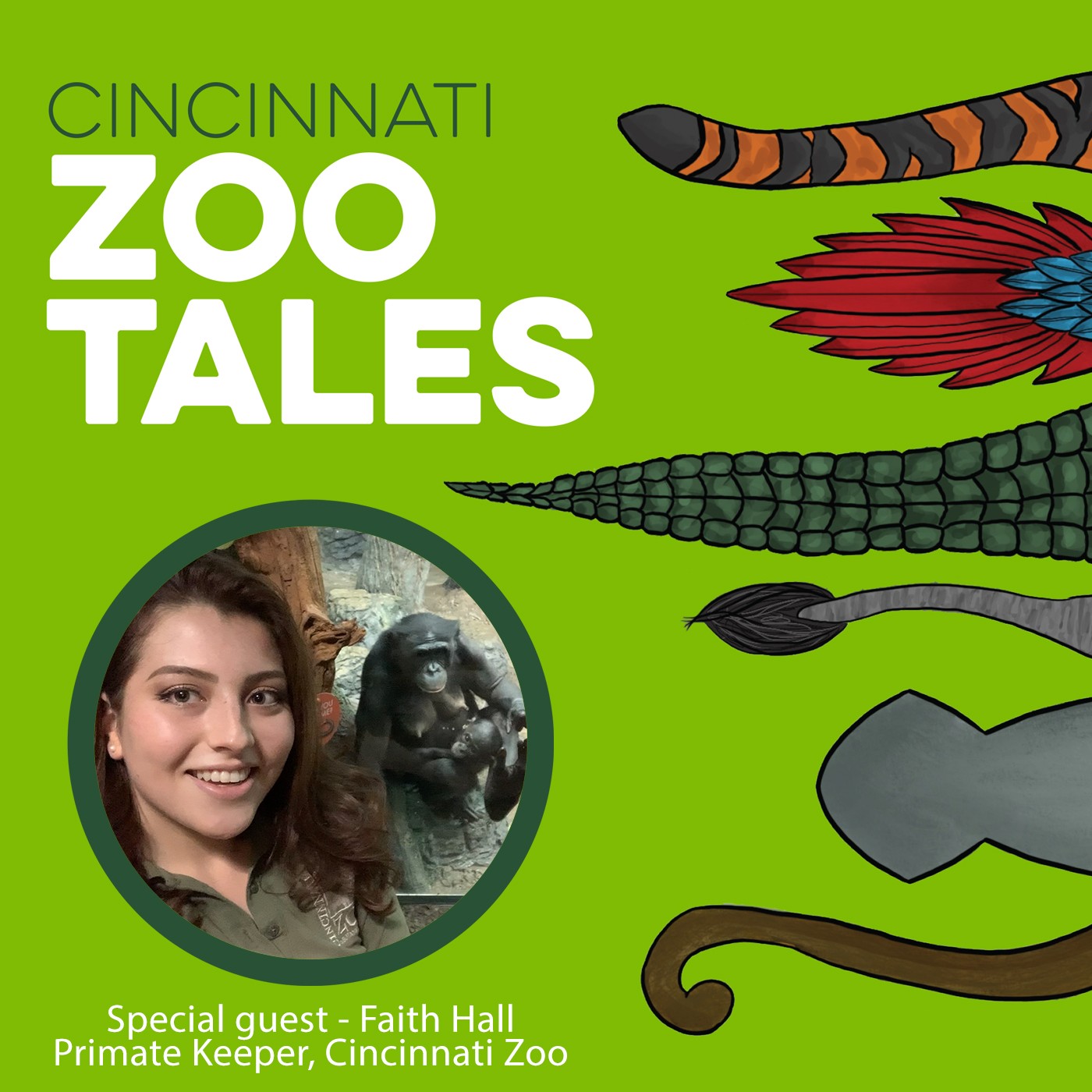 Cincinnati Zoo Tales