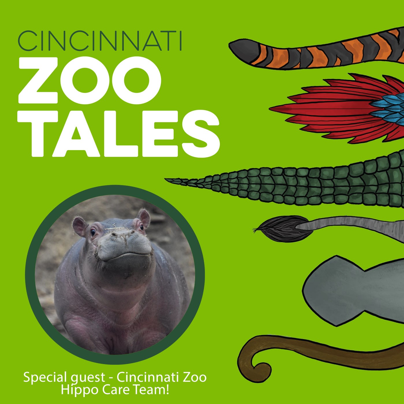 Cincinnati Zoo Tales