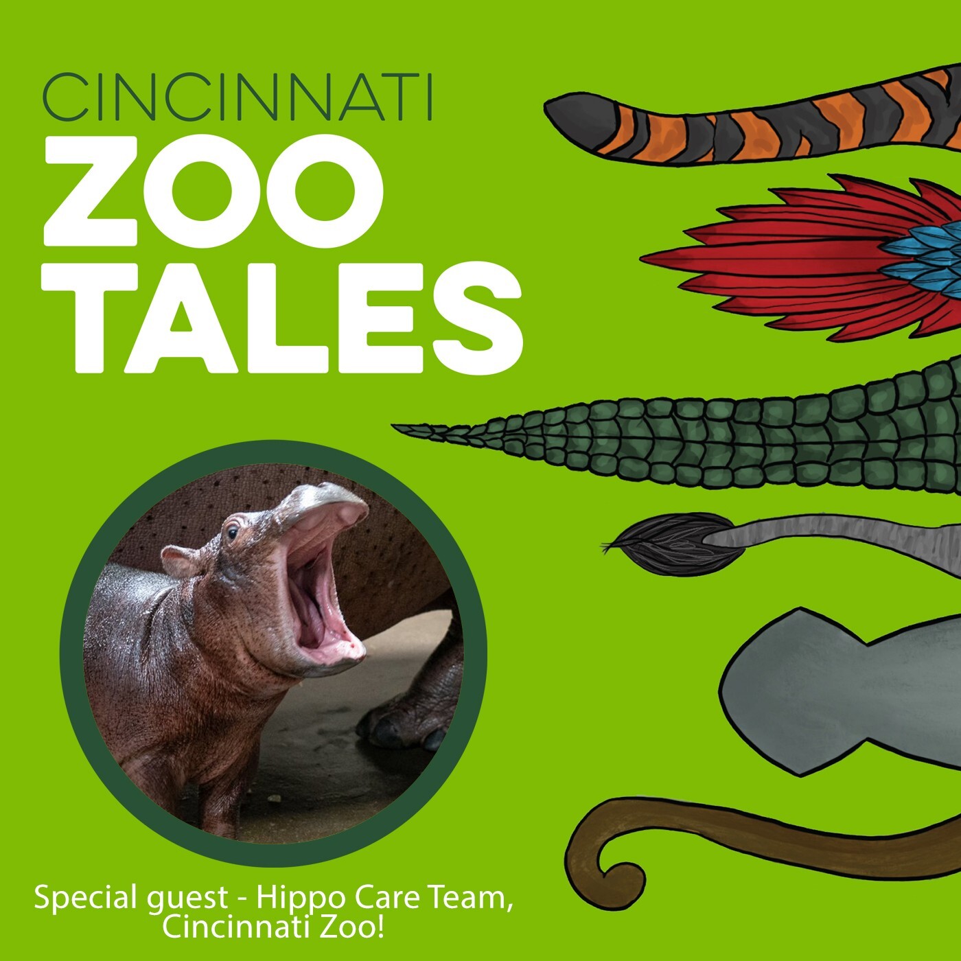 Cincinnati Zoo Tales