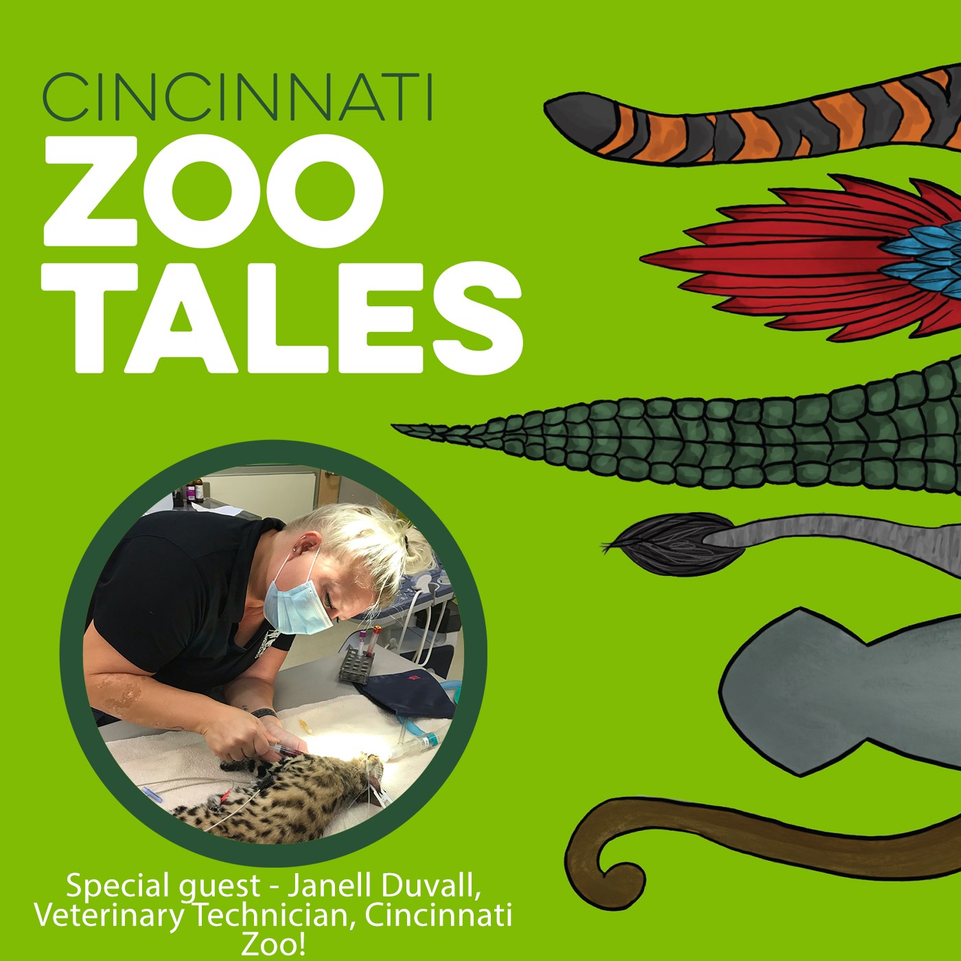 Cincinnati Zoo Tales