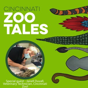Janell Duvall, Cincinnati Zoo