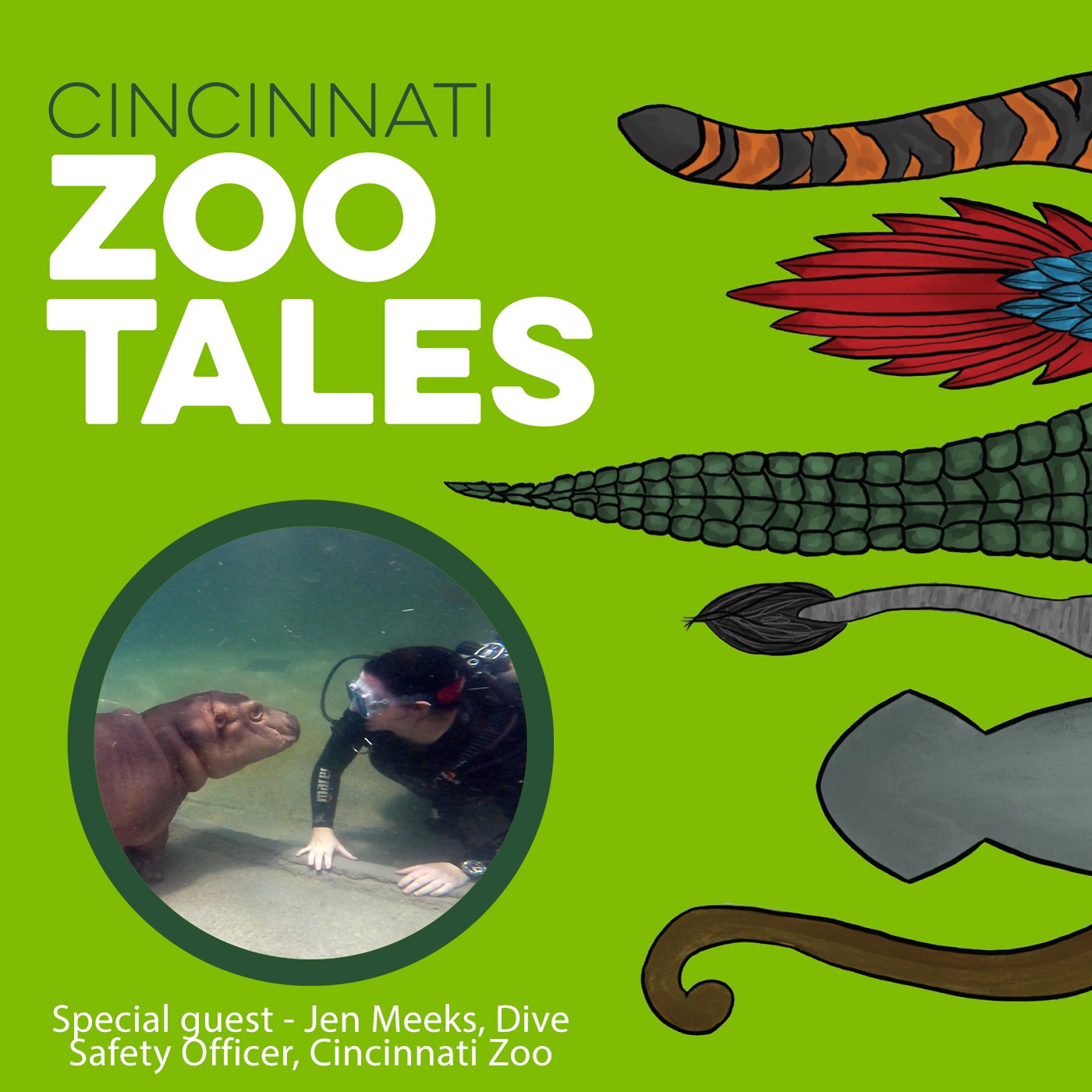 Cincinnati Zoo Tales