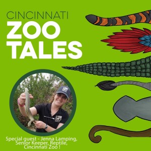 Jenna Lamping, Cincinnati Zoo