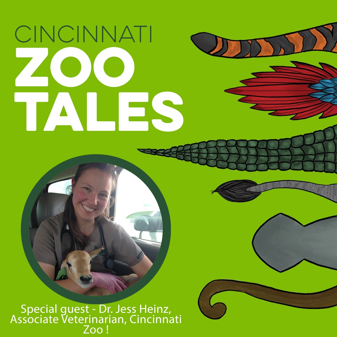 Cincinnati Zoo Tales