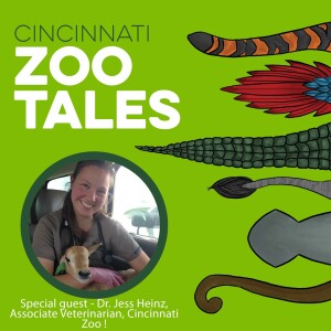 Dr. Jess Heinz, Cincinnati Zoo