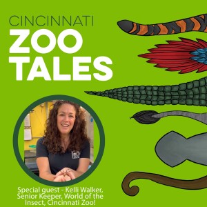 Kelli Walker, Cincinnati Zoo