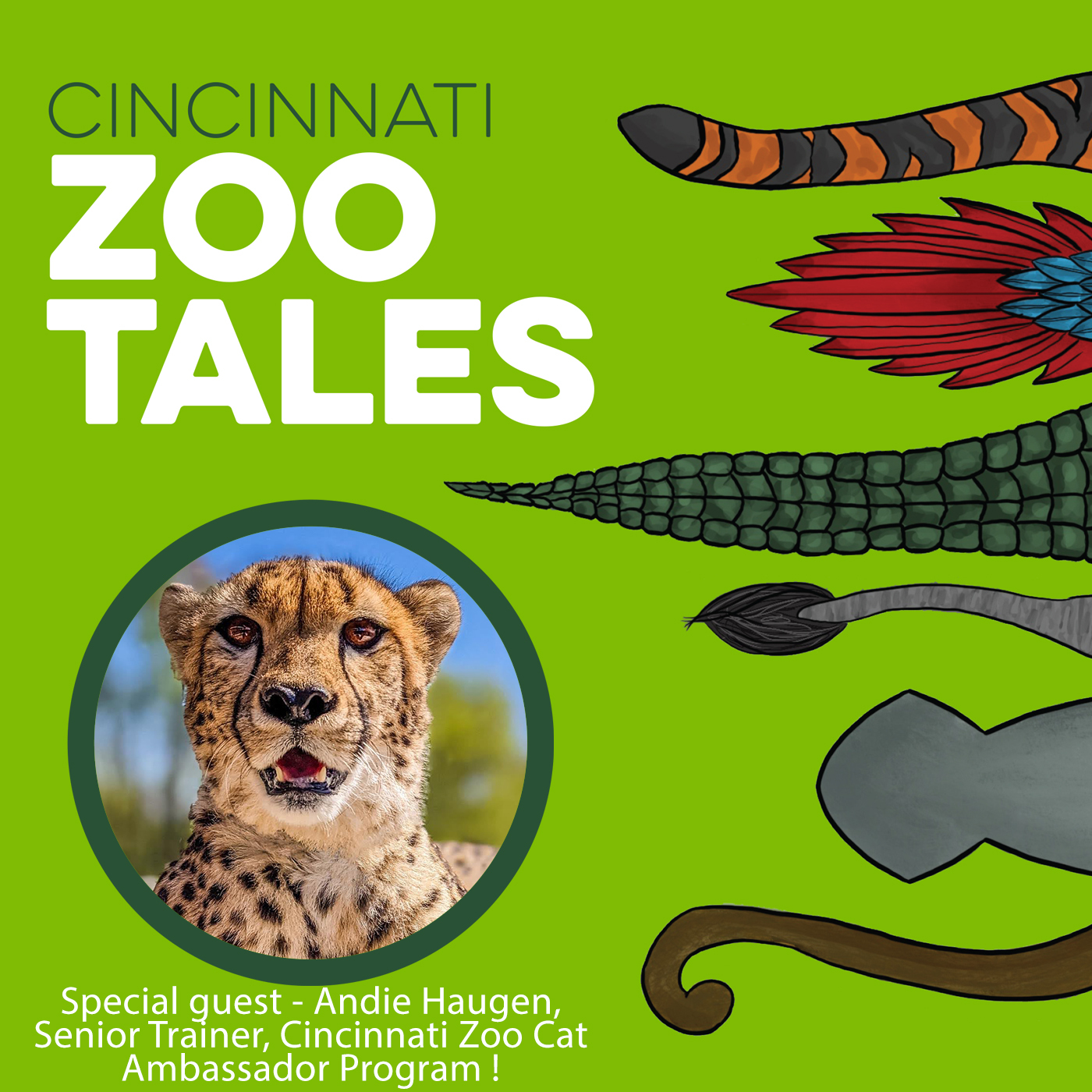 Cincinnati Zoo Tales