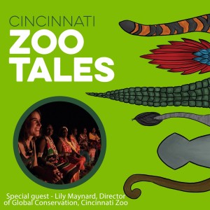 Lily Maynard, Cincinnati Zoo