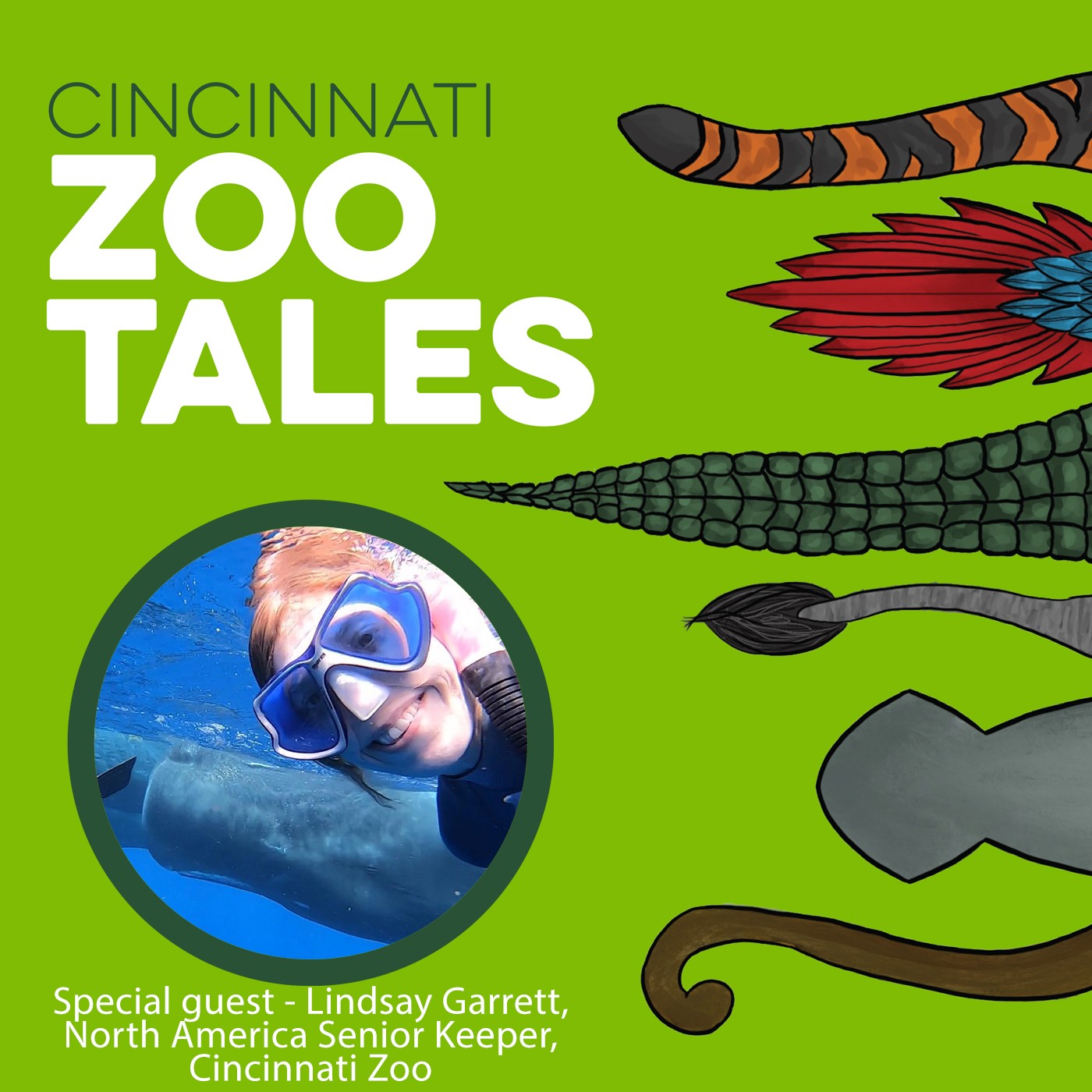 Cincinnati Zoo Tales