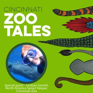 Lindsay Garrett, Cincinnati Zoo
