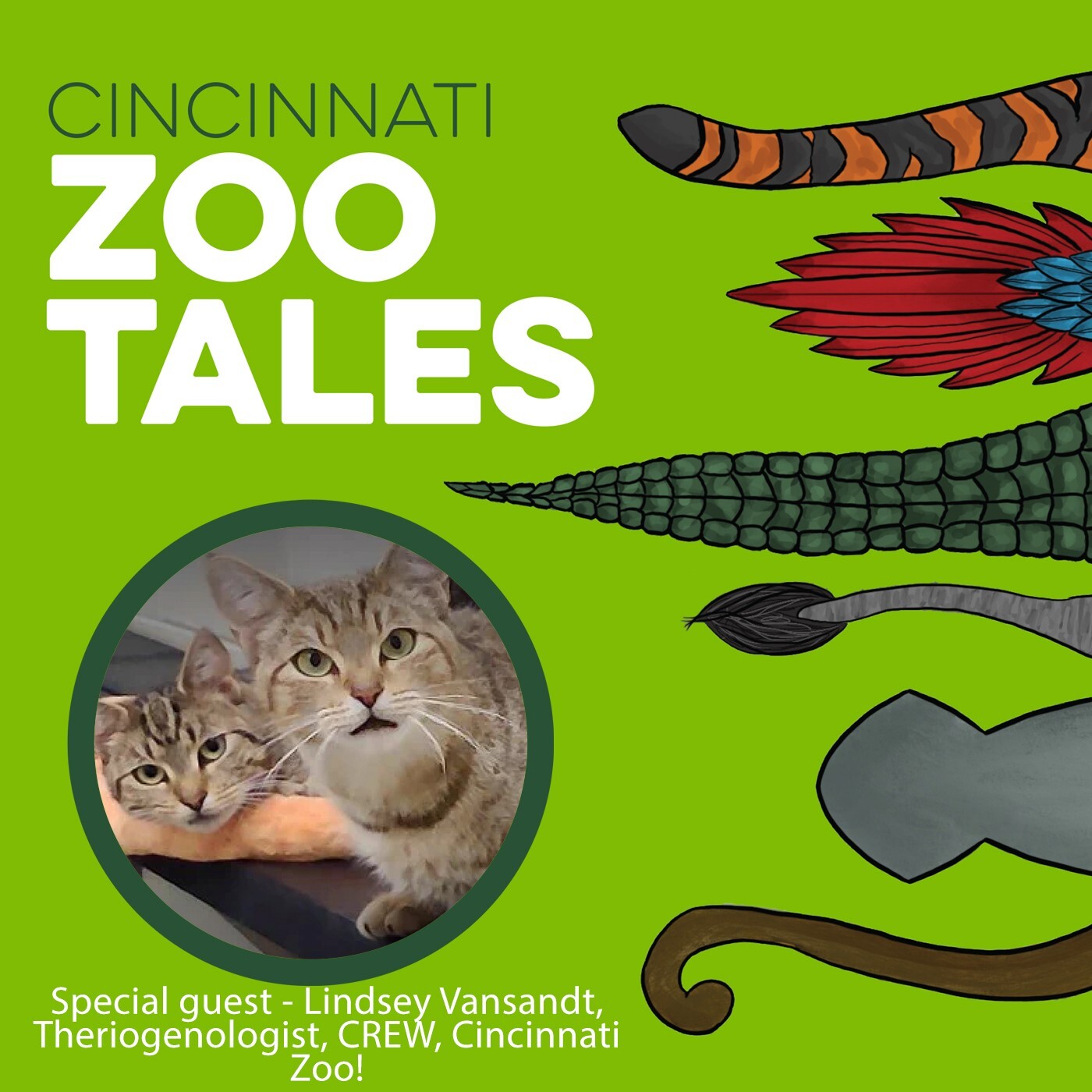 Cincinnati Zoo Tales