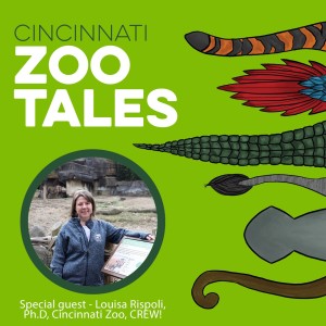 Louisa Rispoli, Cincinnati Zoo