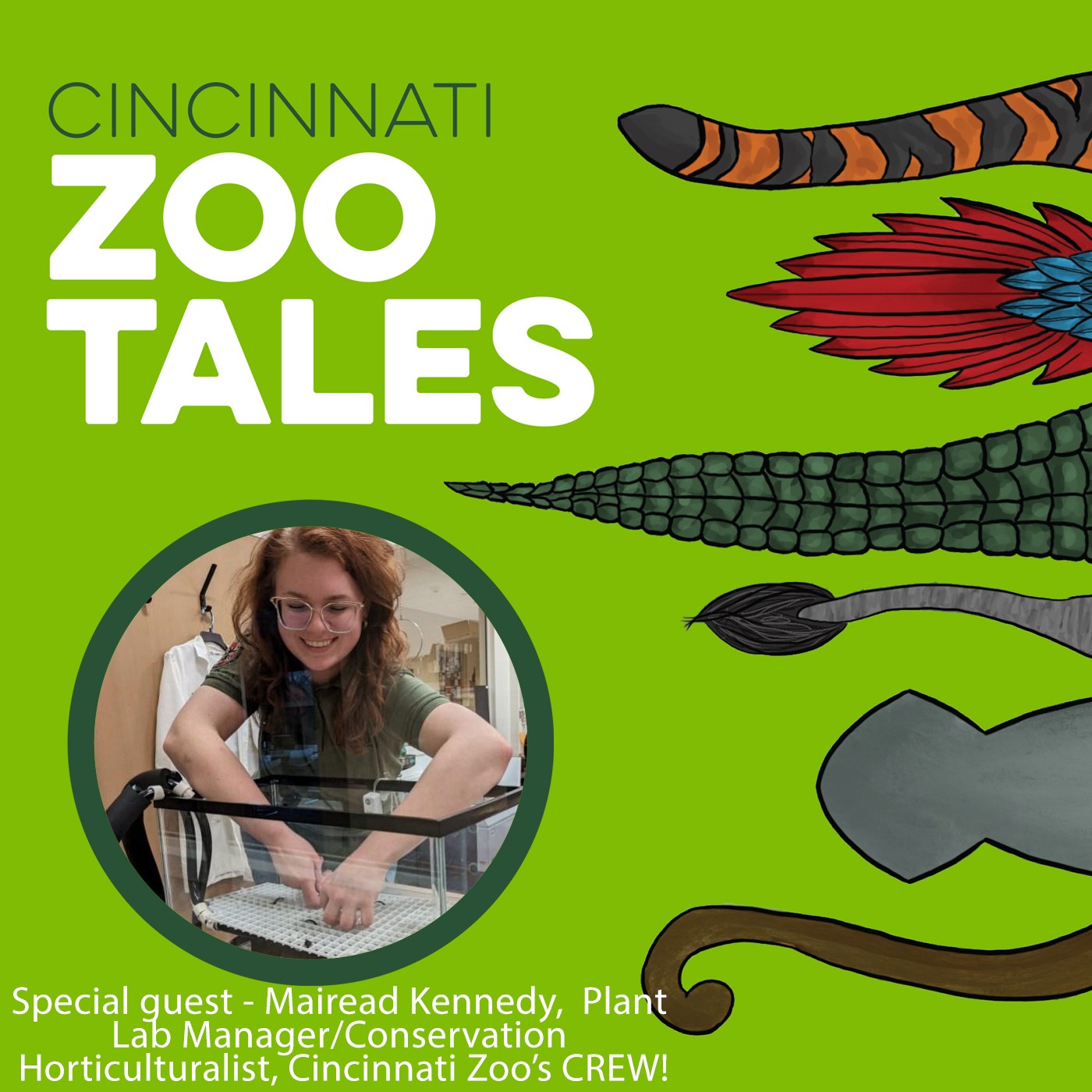 Cincinnati Zoo Tales