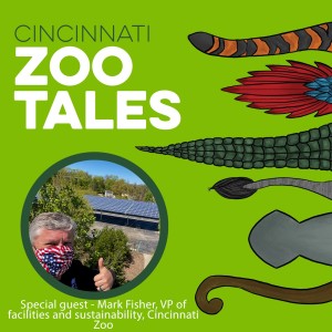 Mark Fisher, Cincinnati Zoo