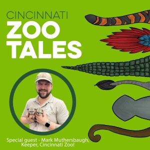 Mark Muthersbaugh, Cincinnati Zoo