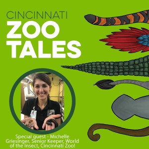 Michelle Griesinger, Cincinnati Zoo