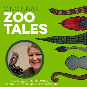 Mollie O’Neil, Cincinnati Zoo