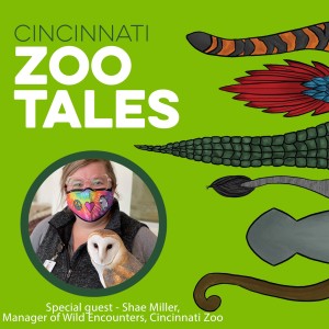 Shae Miller, Cincinnati Zoo