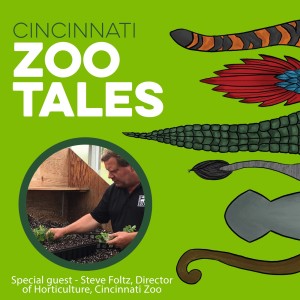 Steve Foltz, Cincinnati Zoo