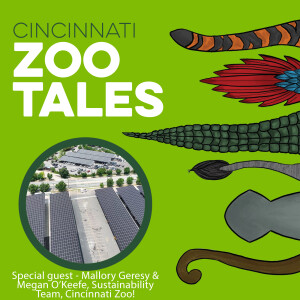 Sustainability at the Cincinnati Zoo