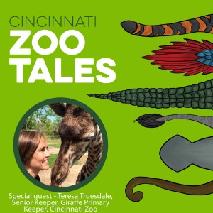 Teresa Truesdale, Cincinnati Zoo