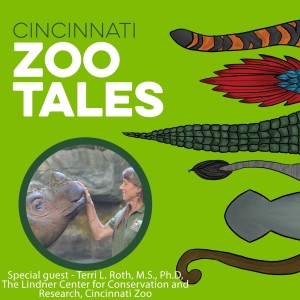 Terri Roth, Cincinnati Zoo