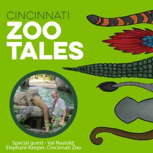 Val Nastold, Cincinnati Zoo