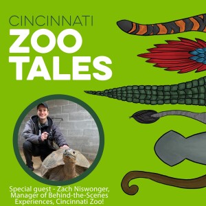 Zach Niswonger, Cincinnati Zoo