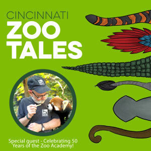 Celebrating 50 Years of Zoo Academy at the Cincinnati Zoo