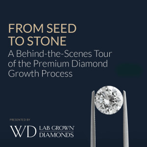 Seed to Stone: A Behind-the-Scenes Tour of the Premium Diamond Growth Process