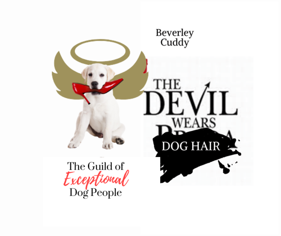 Beverley Cuddy: The Devil Wears Dog Hair’s Podcast