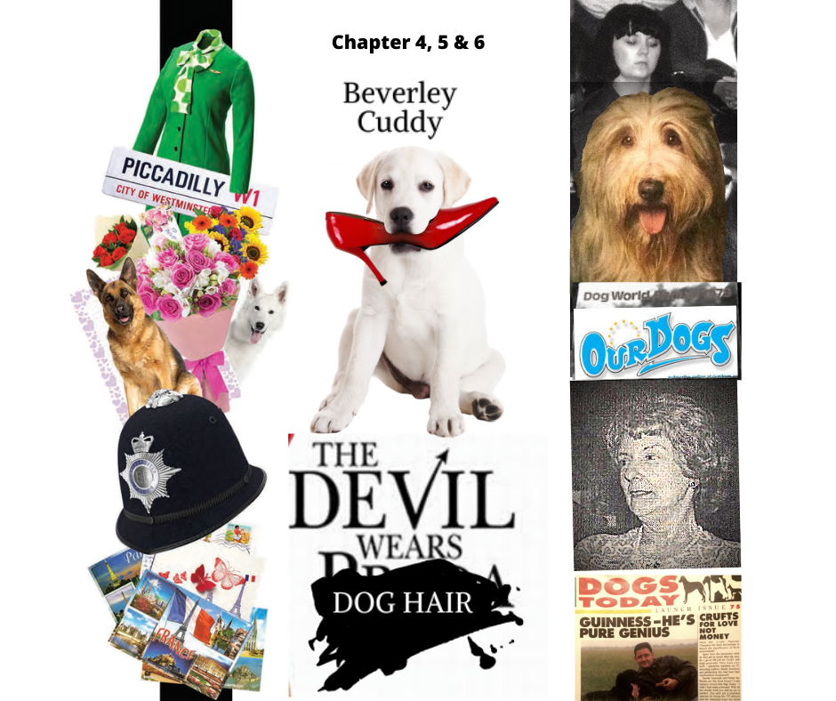 Beverley Cuddy: The Devil Wears Dog Hair’s Podcast