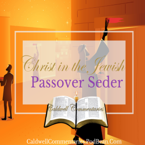 Passover Seder {The Gospel in Living Illustration!}