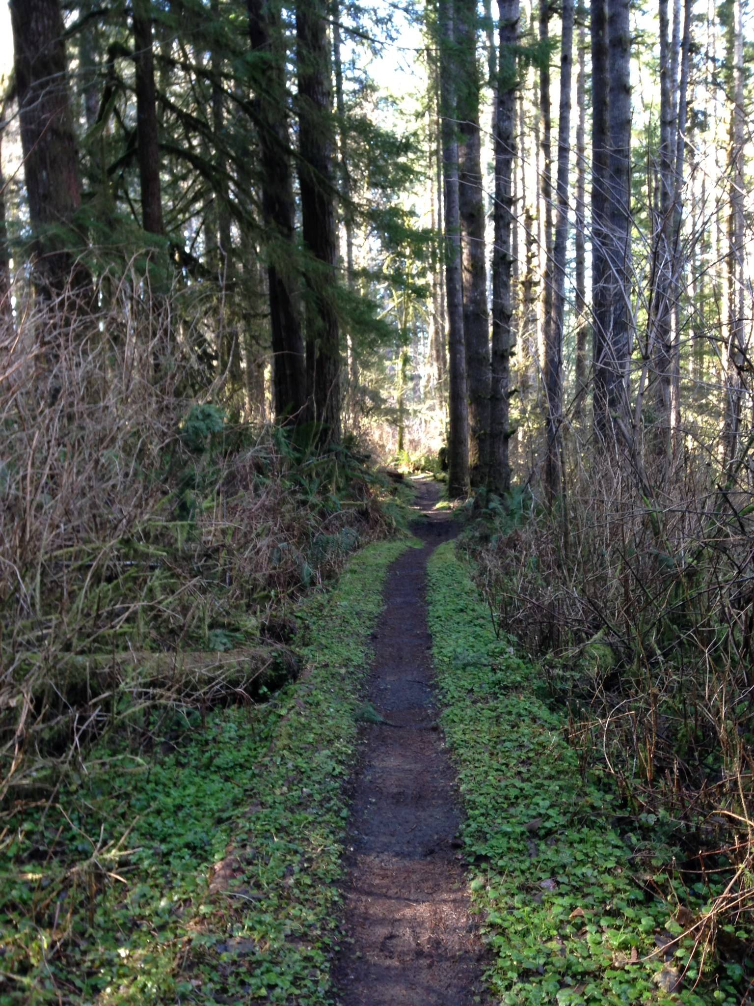 Pacific Northwest Pathfinders Podcast - Olympic NP