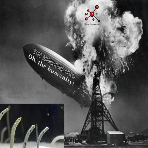 #163 - Oh the humanity! The Story of the Hindenburg